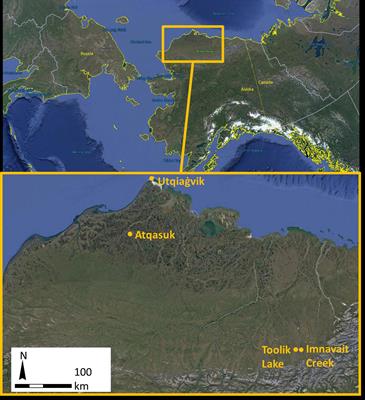 NDVI Changes Show Warming Increases the Length of the Green Season at Tundra Communities in Northern Alaska: A Fine-Scale Analysis